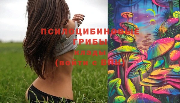 мет Алзамай