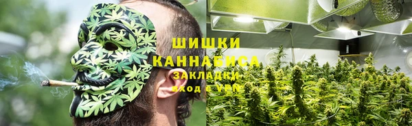 дживик Дмитров