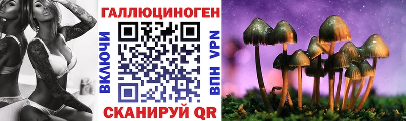 Псилоцибиновые грибы прущие грибы  где купить наркоту  Новороссийск 