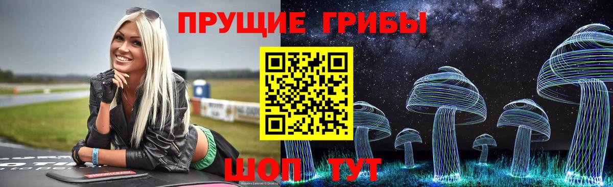 Галлюциногенные грибы Psilocybine cubensis Новороссийск