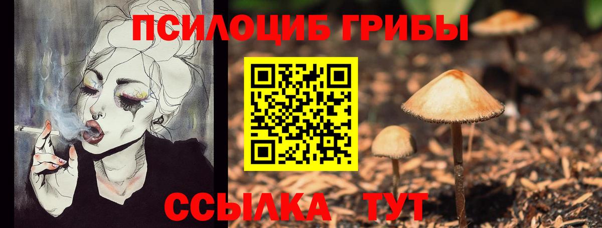 Новороссийск  Галлюциногенные грибы прущие грибы  Галлюциногенные грибы MAGIC MUSHROOMS  Вход с VPN 