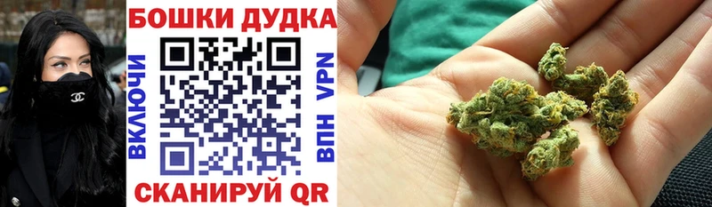 блэк спрут рабочий сайт закладка Новороссийск МАРИХУАНА план